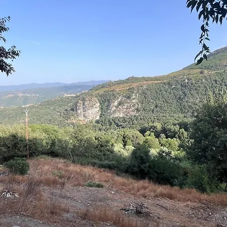 شقة Cosy Avec Veranda - 25 Min St-florent Santo-Pietro-di-Tenda